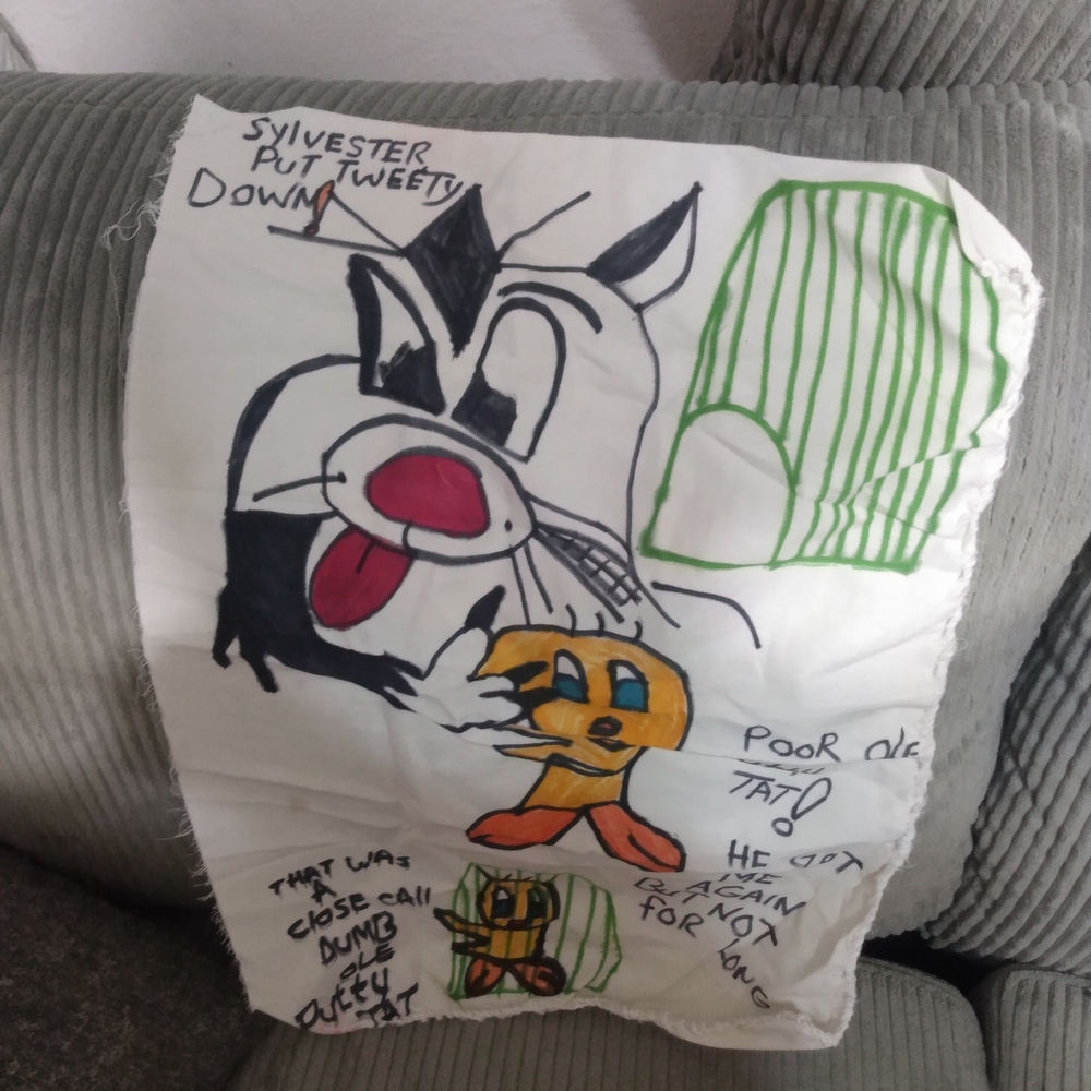 This Can Be A Pillow Or Wall Hanging ..